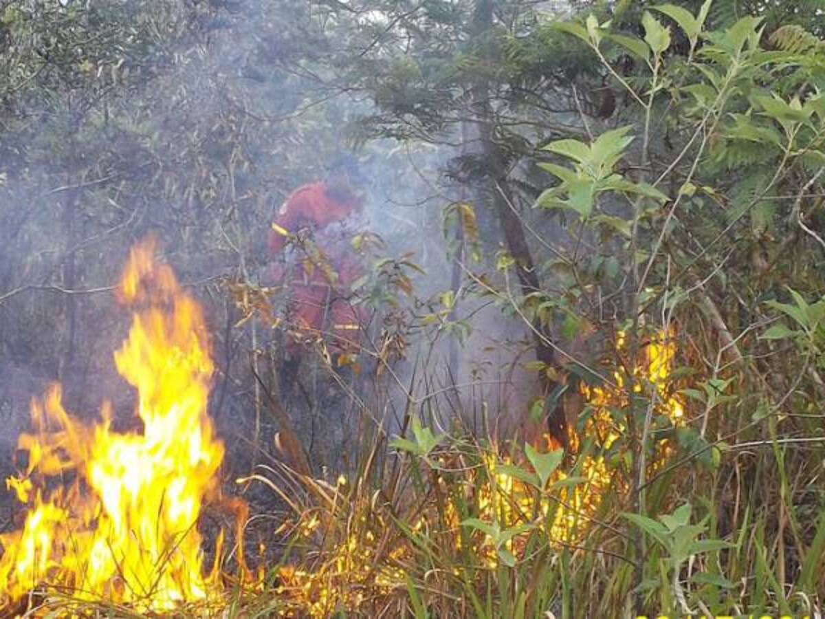 Alerta Roja en 19 departamentos por riesgo de incendios forestales