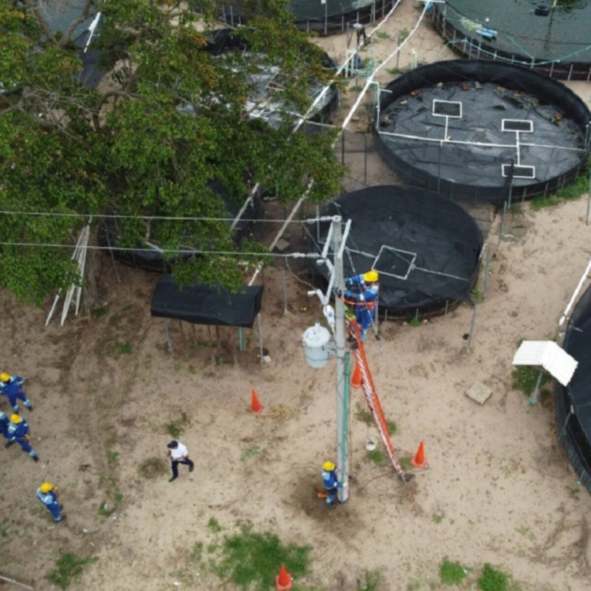 18 estanques piscícolas funcionaban con luz robada en finca de Polonuevo