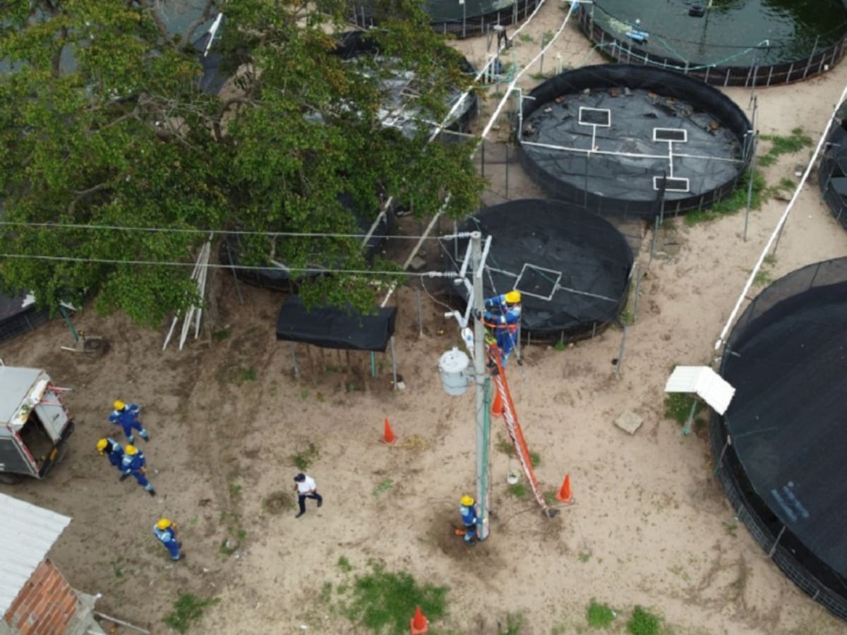18 estanques piscícolas funcionaban con luz robada en finca de Polonuevo