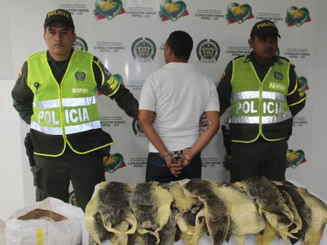 17 pieles de babillas fueron decomisadas a bordo de un bus entre Barranquilla – Cartagena