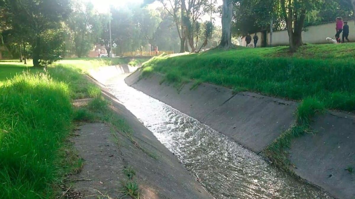 Una propuesta para recuperar los “caños” de Bogotá