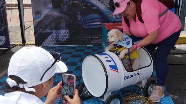 Instalan estaciones ‘Pit Stop’ para mascotas en la ciclovía de Bogotá. Foto: IDRD