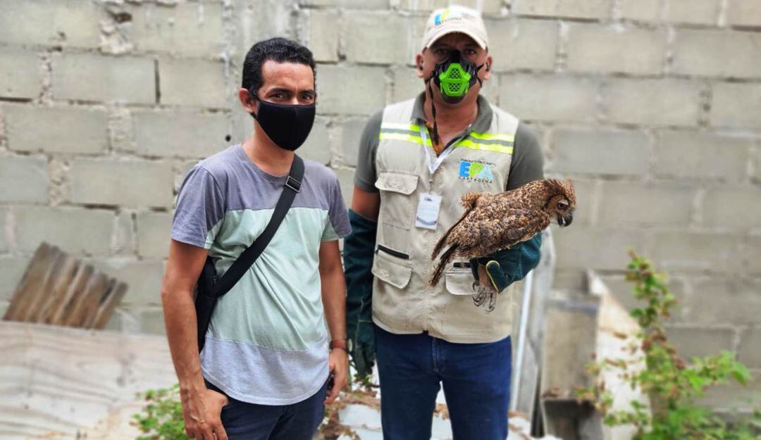 Cada vez son más los ciudadanos que toman conciencia y deciden devolver animales silvestres que mantienen en cautiverio 