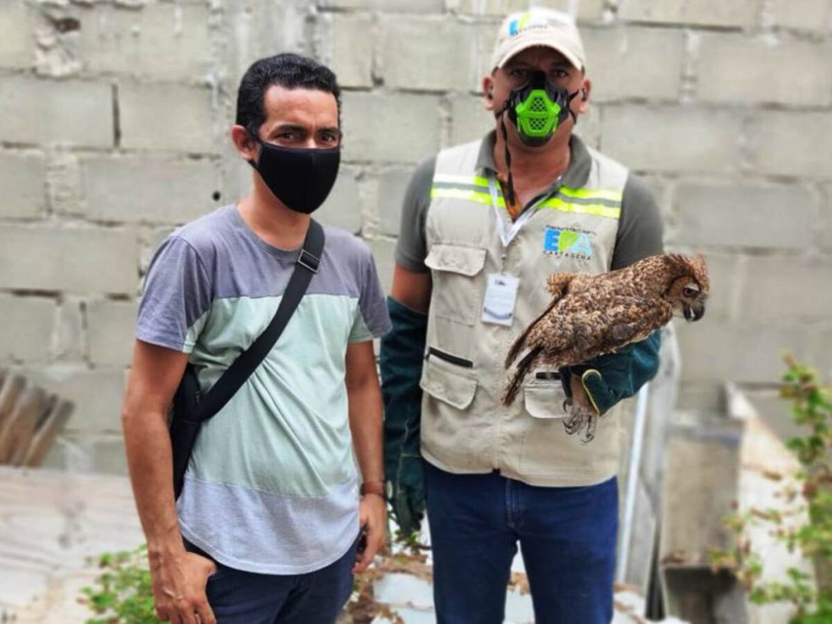 Aumenta entrega de animales en cautiverio al EPA Cartagena