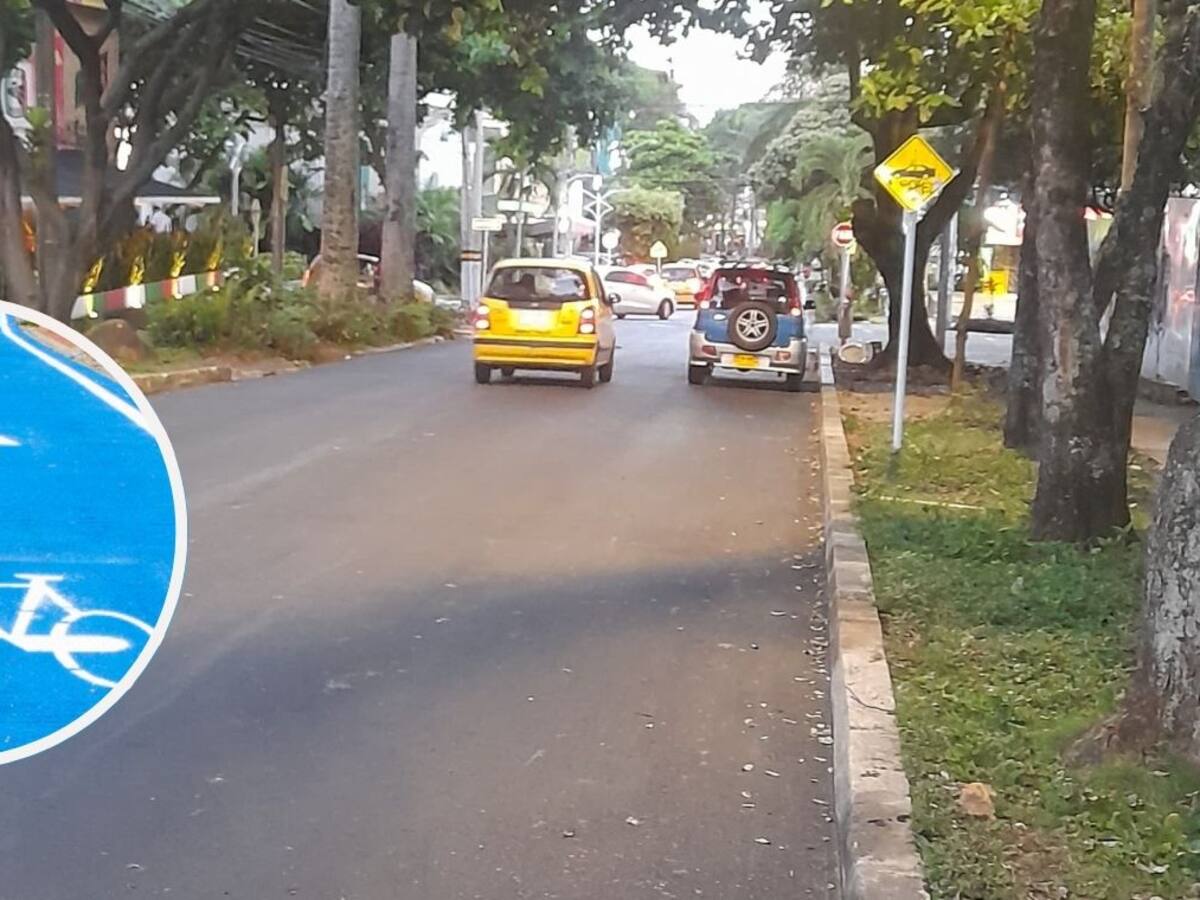 Quitaron cicloinfraestructura de una calle de Bucaramanga, ¿qué paso?