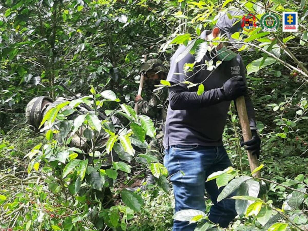 Erradican cultivo de coca en Ortega, Tolima