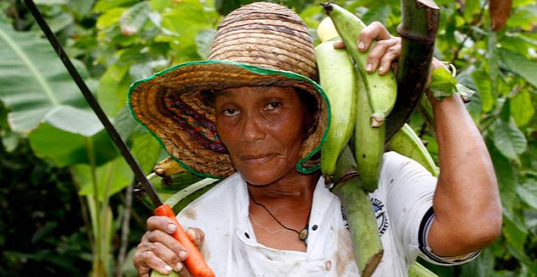 La mujer campesina, básica en la producción del agro