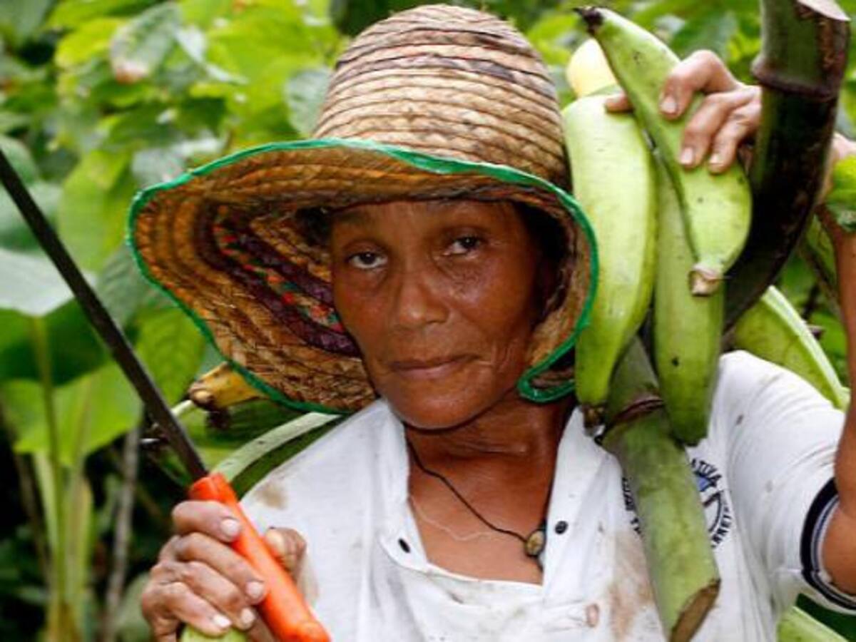 Programas de la UE serán mostrados en Expo Agrofuturo