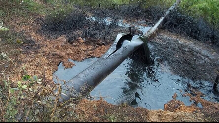 Imagen de referencia. Foto: Colprensa