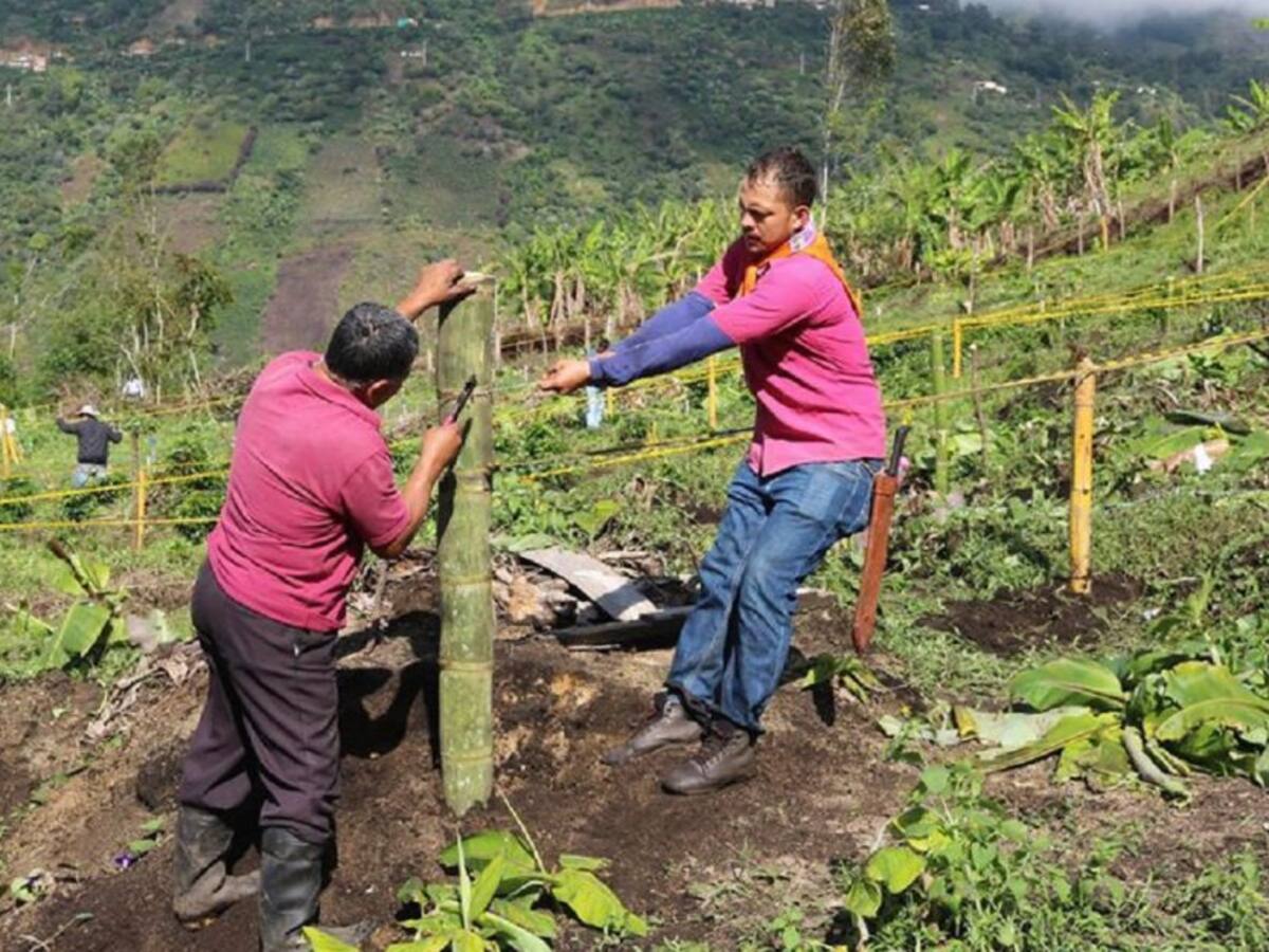 En San José de Albán previenen las quemas
