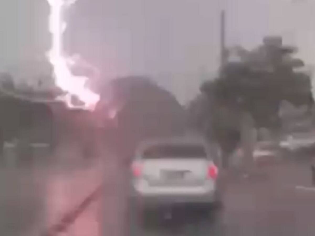 (Video) Rayo cayó sobre el árbol de un colegio en Cartagena