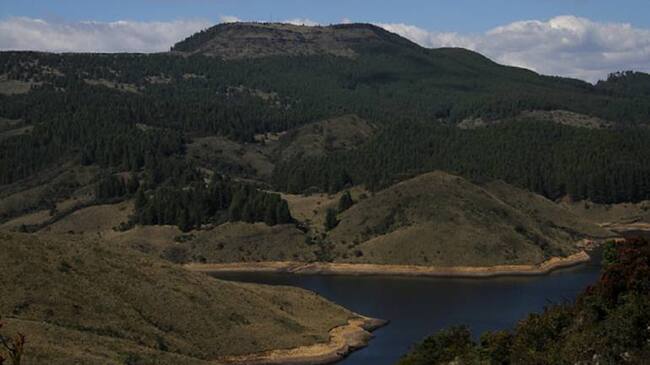 "Medio Ambiente" responsabilidad de todos