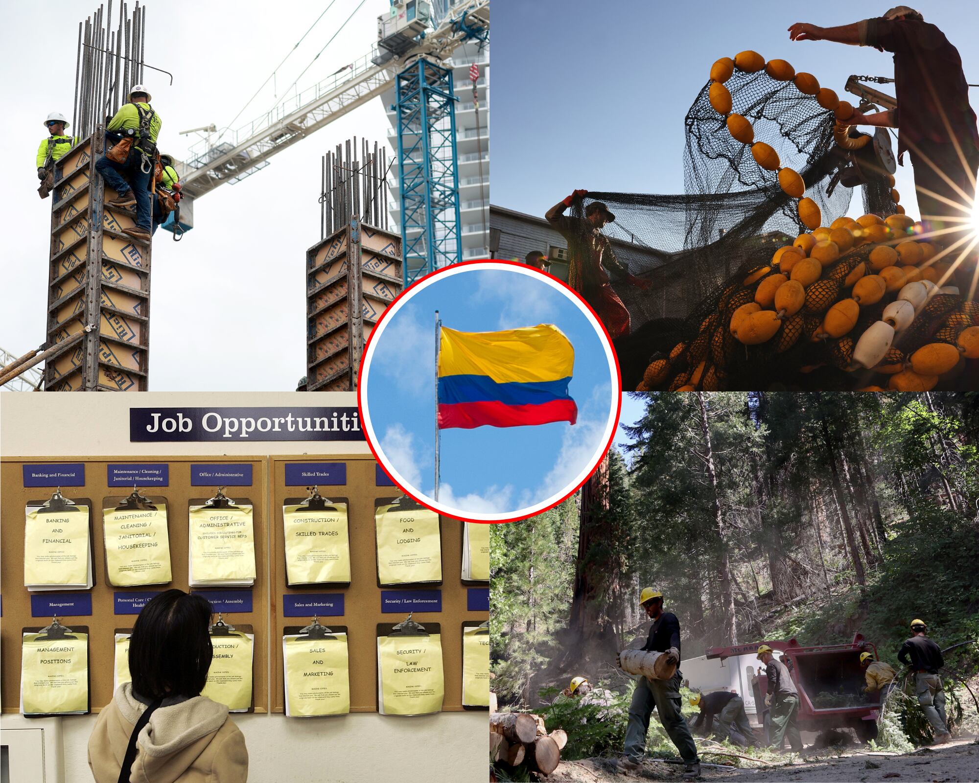 Los sectores que tienden a necesitar mano de obra a la que pueden aplicar los colombianos se concentran en sectores de pesca, construcción, paisajismo o desarrollo de infraestructura.

(Foto: Getty / Caracol Radio)