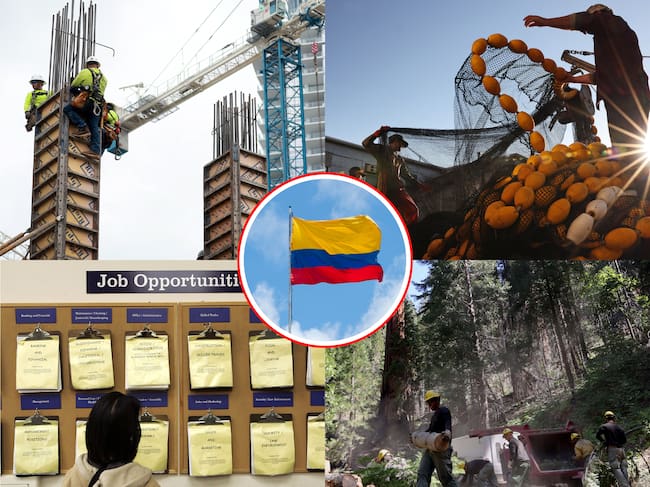 Los sectores que tienden a necesitar mano de obra a la que pueden aplicar los colombianos se concentran en sectores de pesca, construcción, paisajismo o desarrollo de infraestructura.
(Foto: Getty / Caracol Radio)