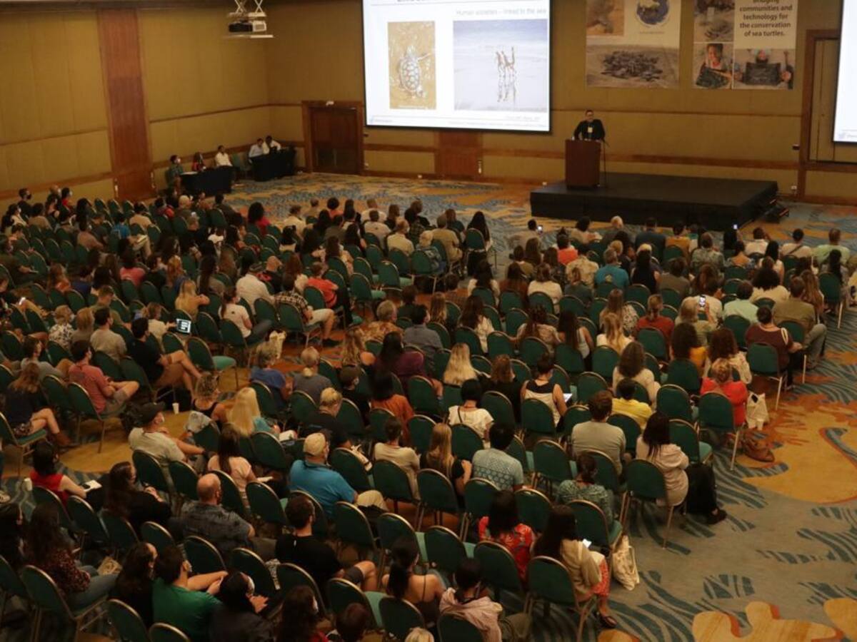 Más de 600 expertos en Tortugas Marinas estarán en Cartagena