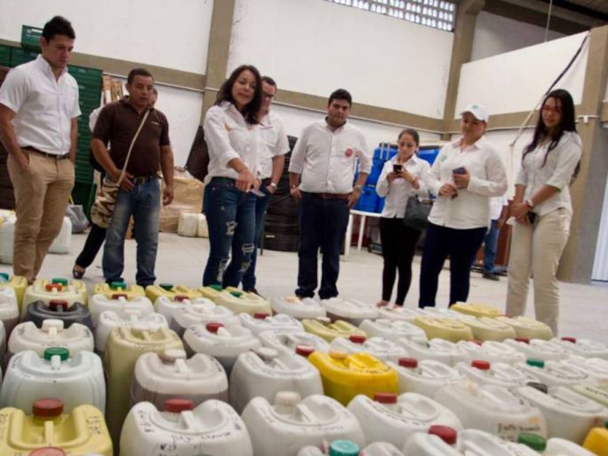Servicio de Empleo beneficia a 353 víctimas en El Carmen de Bolívar