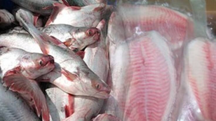 En Bucaramanga se vende pescado proveniente de Vietnam
