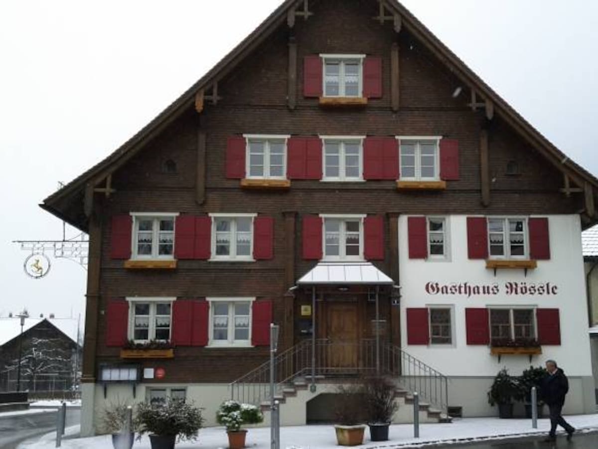 Tres muertos y 11 heridos en un tiroteo en un concierto en Austria