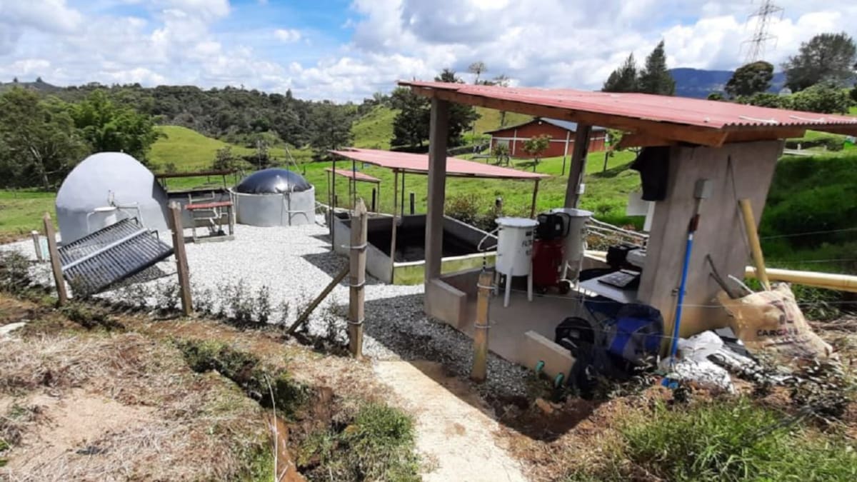 Planta para generar energía a partir de residuos porcícolas desarrollan en la CES