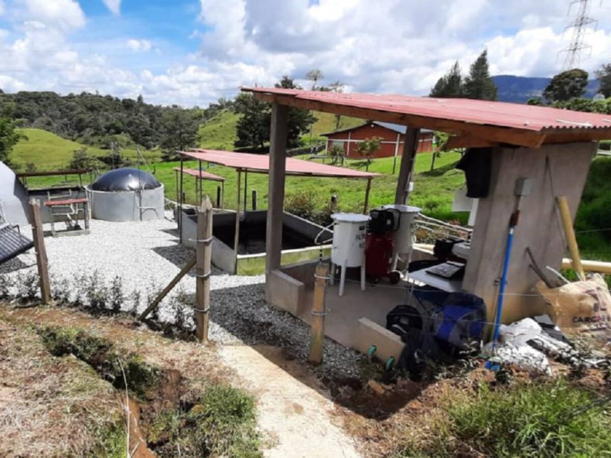 Desarrollan biorreactor para generar energía, con excrementos porcícolas