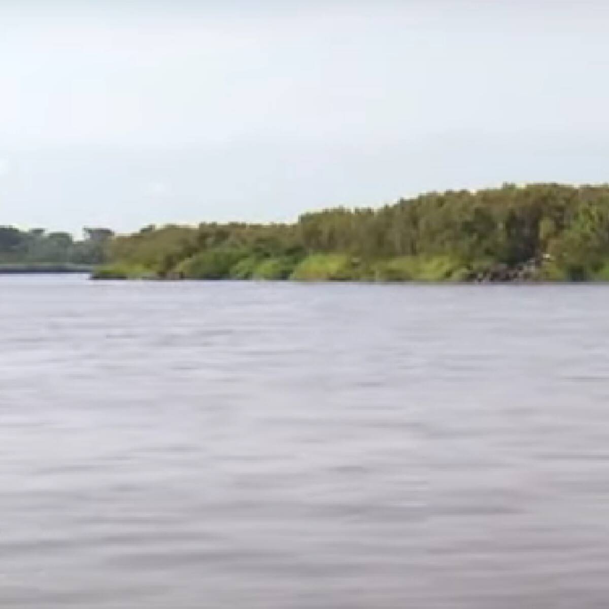 Evalúan decretar calamidad pública por bajo nivel del río Magdalena en sur del Atlántico