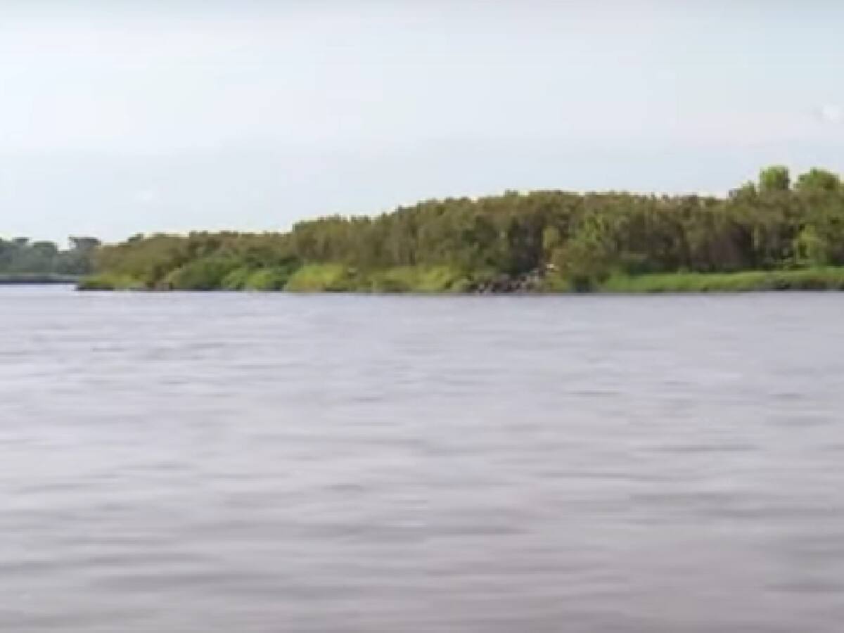 “Es una cantidad alarmante de peces muertos”: pescador de Honda