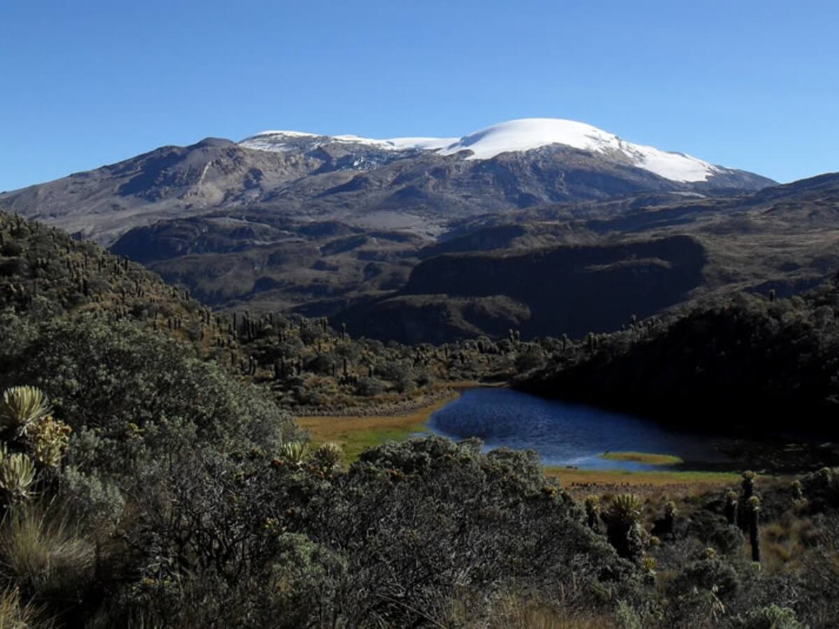 Gobierno se compromete en NO comprar predios en el Parque de los Nevados para indígenas