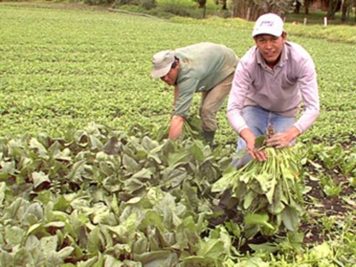 Son 290 municipios los que ya están comprometidos con el Pacto Agrario