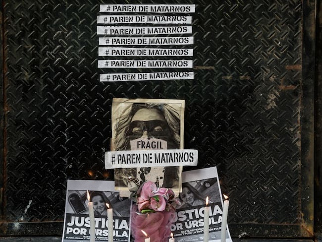Feminicidios en Argentina 