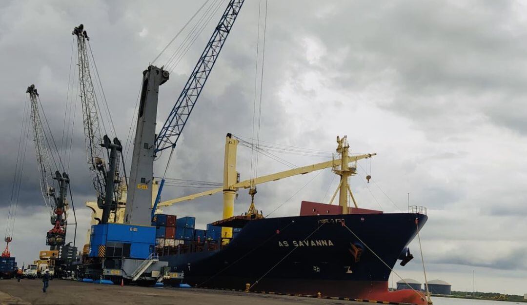 Imagen de referencia