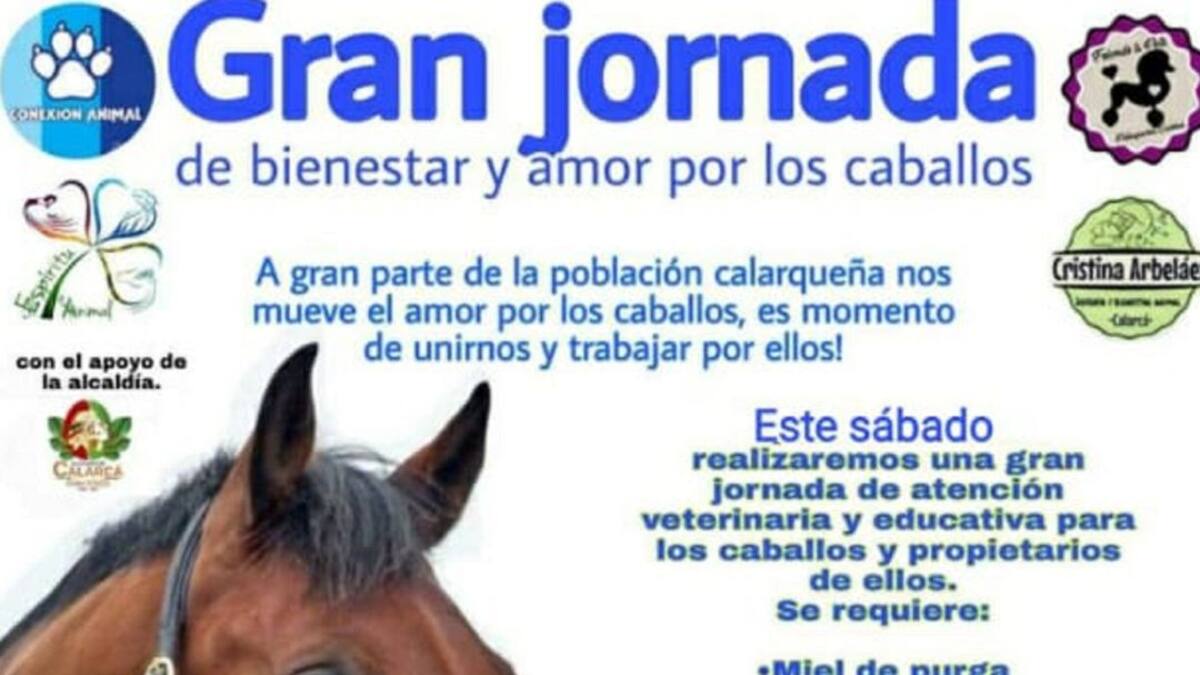 En Calarcá se realizará una jornada de amor por los caballos