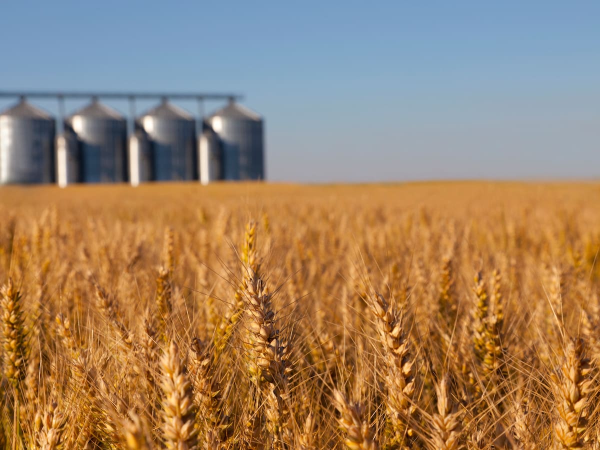 Importaciones de granos en el primer semestre del año alcanzaron 6.3 millones de toneladas