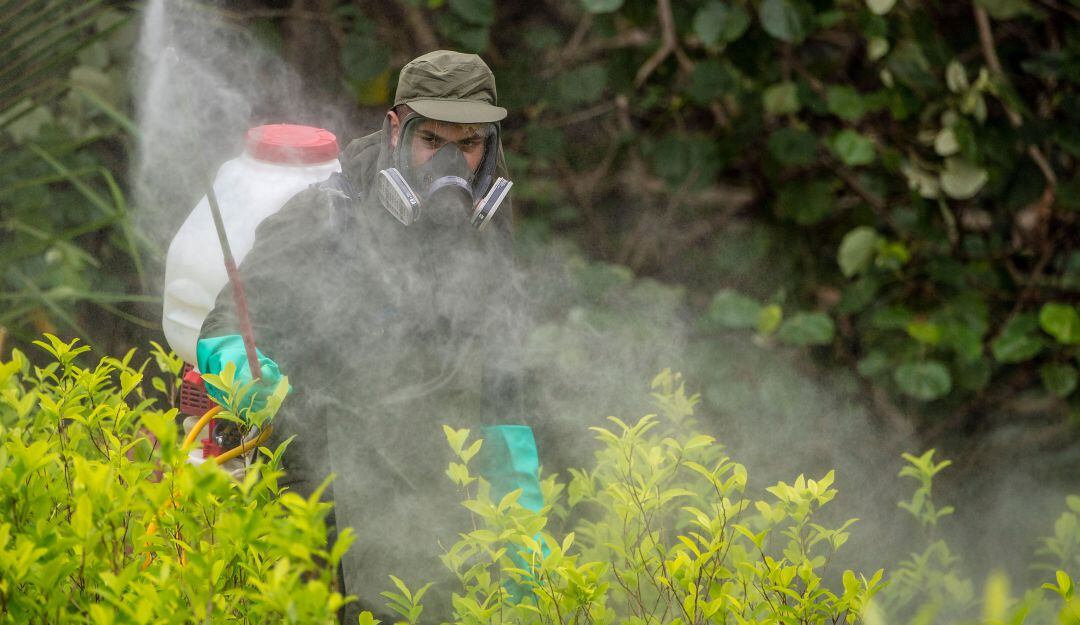 Labores de erradicación en Colombia 