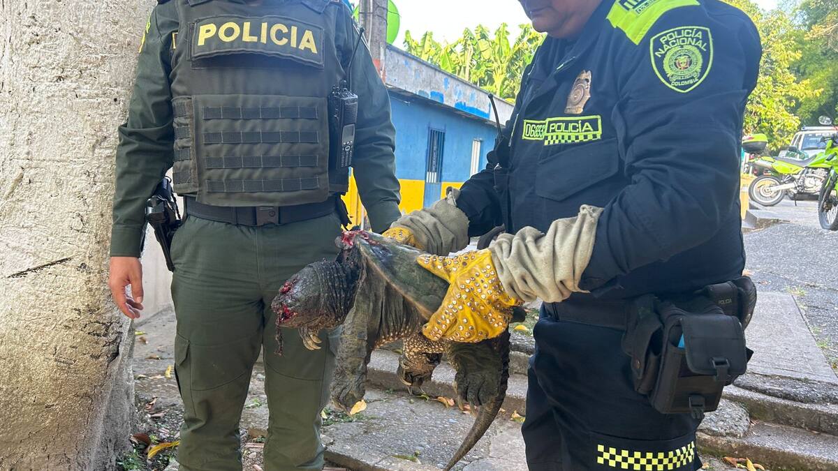 Coronel Pedro Saavedra, comandante de la Policía del Quindío