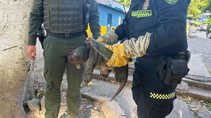 Coronel Pedro Saavedra, comandante de la Policía del Quindío