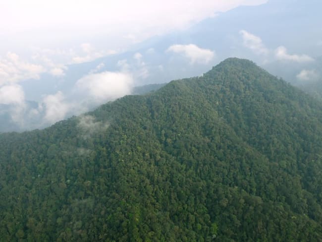 La deforestación sigue transformando el bosque en Putumayo