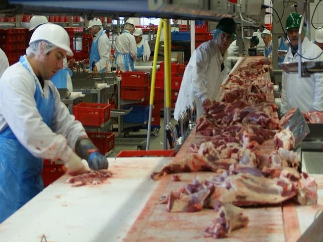 Arabia Saudita abre sus puertas a la carne de res cordobesa
