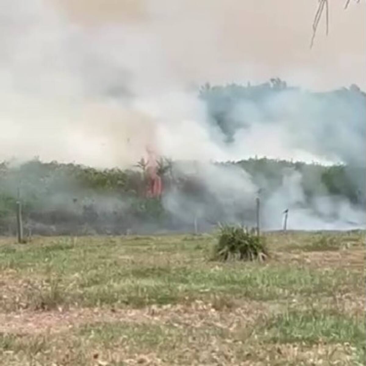 Incendio forestal en Bajo Rionegro requiere apoyo aéreo