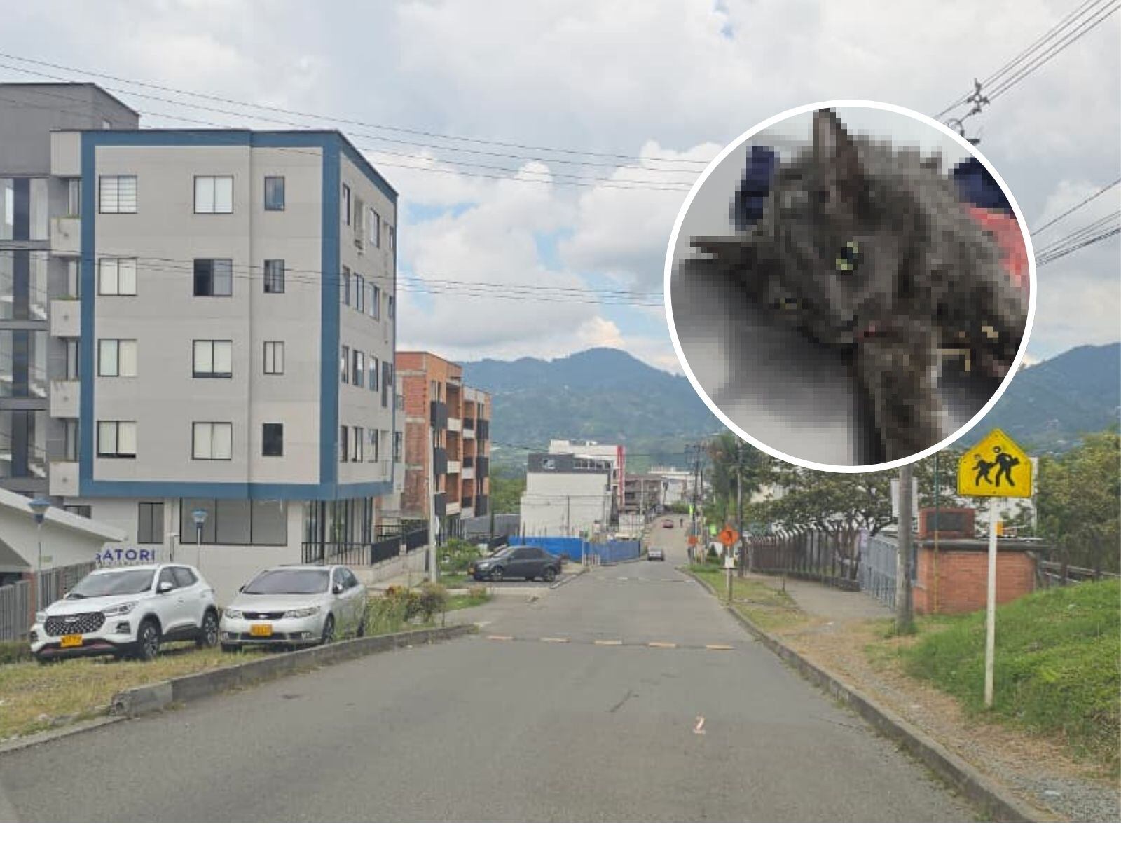 Foto: Suministrada comunidad de Dosquebradas