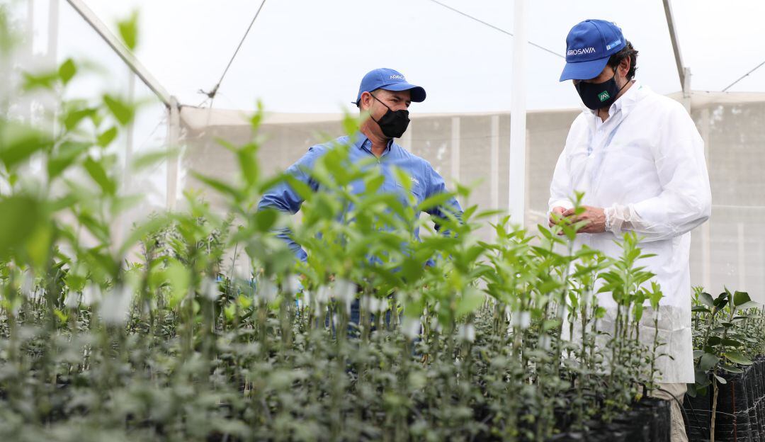 Trabajo de investigación para el agro