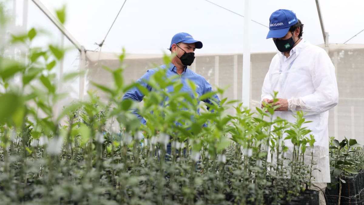 Investigación científica para el agro no para, a pesar de la pandemia