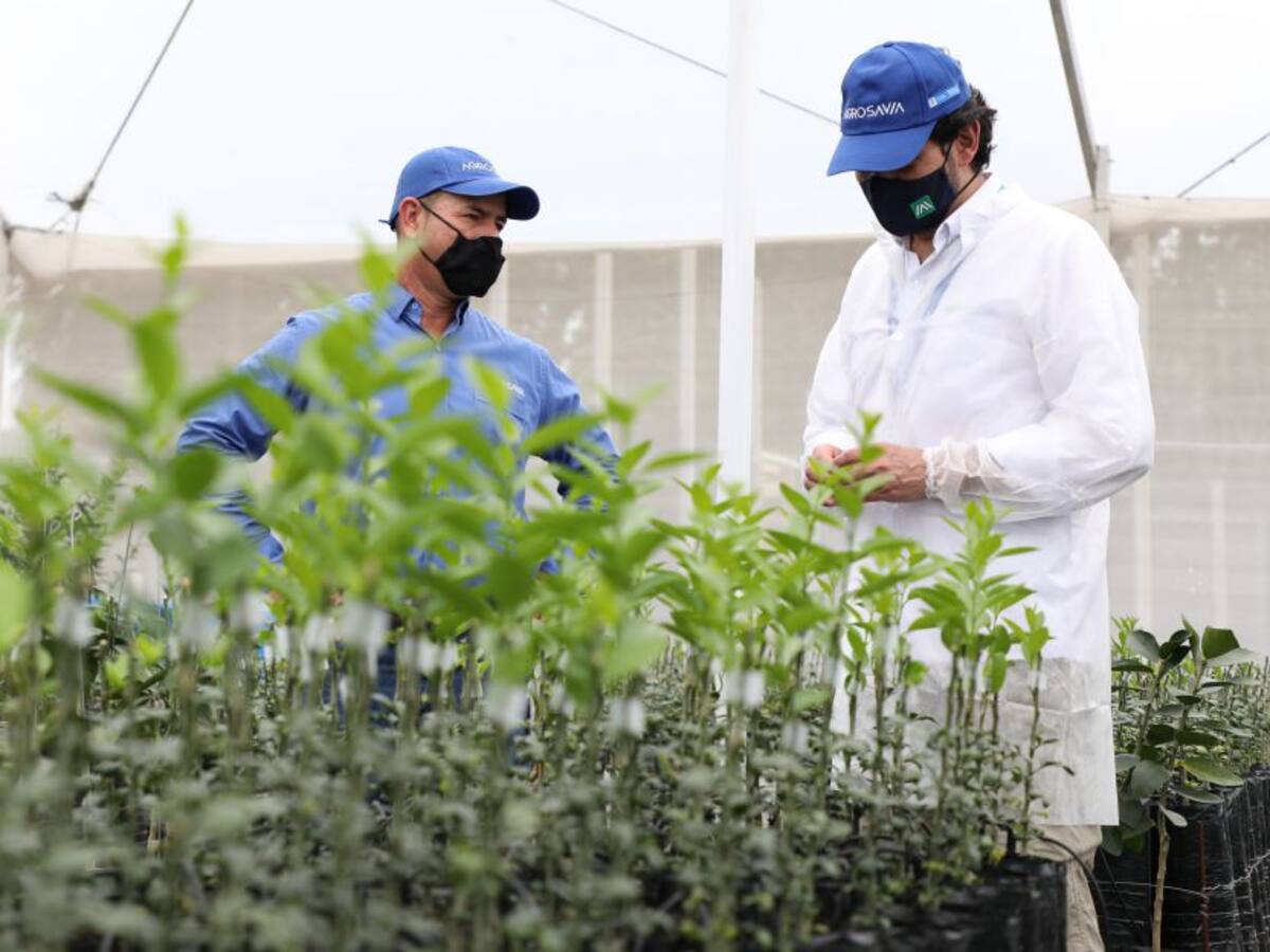 Investigación científica para el agro no para, a pesar de la pandemia