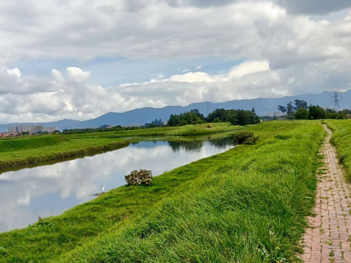 Avanza la recuperación del río Bogotá: nuevos corredores verdes y más de 150.000 árboles nativos