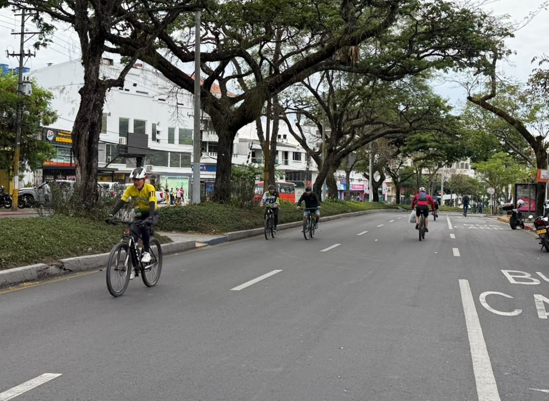 Día Sin Carro y Sin Moto en Ibagué - Foto: Alcaldía de Ibagué