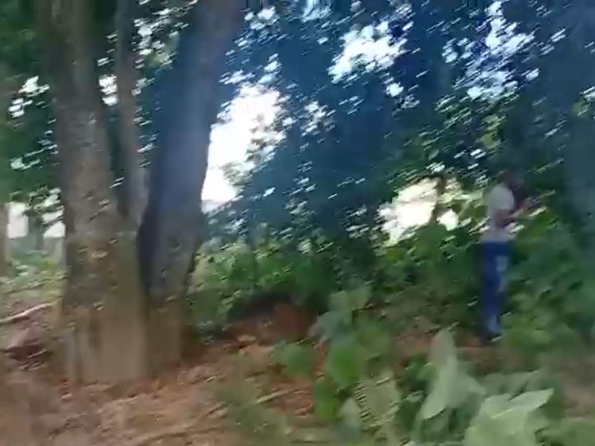 Descartan explosivos en colegio de Timba, zona rural de Jamundí: comunidad verificó la zona