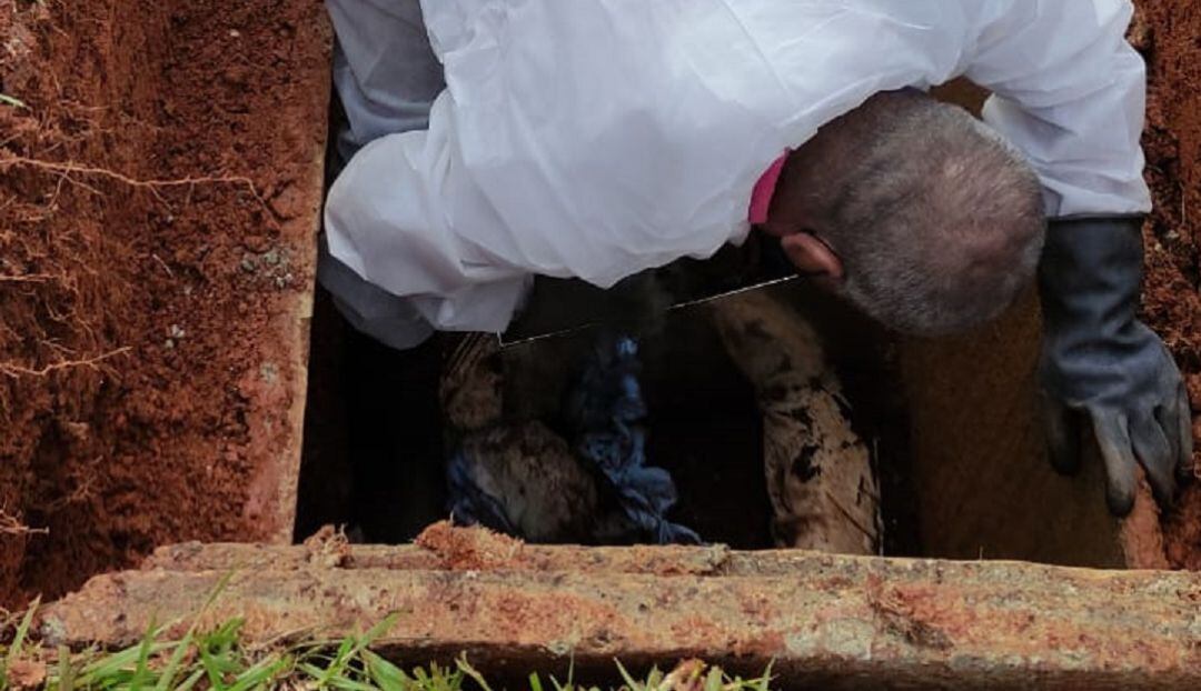 Imagen de referencia