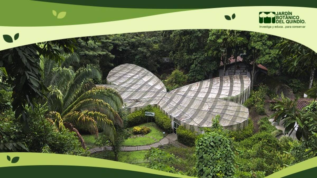 Alberto Gómez, Presidente Jardín Botánico del Quindío