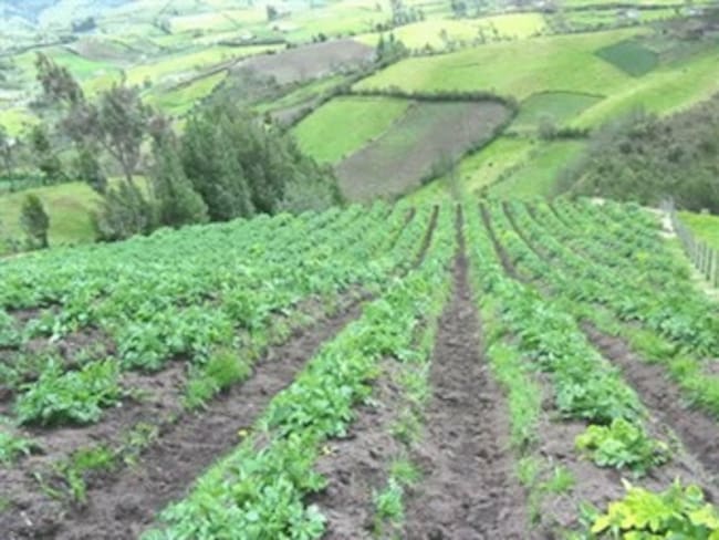 La agricultura en Colombia será el sector más impactado por el cambio climático