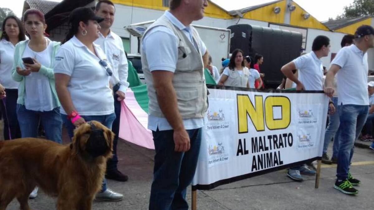 Denuncian envenenamiento de mascotas en varios barrios de Armenia