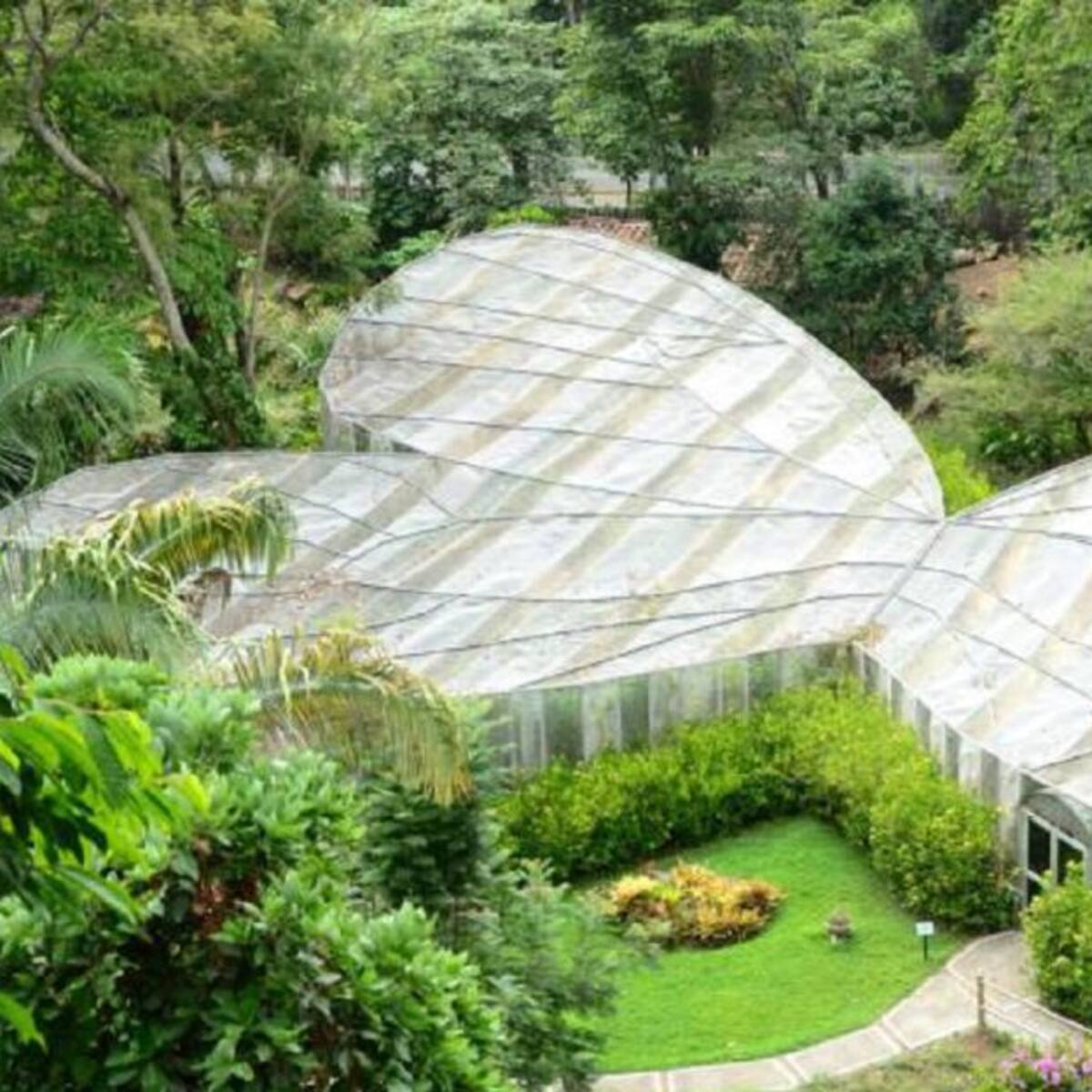 Protocolos en Jardín Botánico no se podrían implementar: Alberto Gómez
